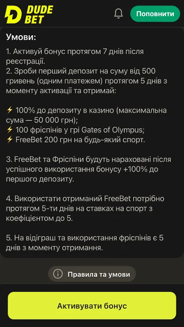 Умови відіграшу вітального бонусу ДудБет