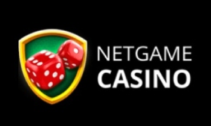 Netgame Logo